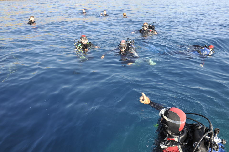 https://www.divingmontenegro.me/