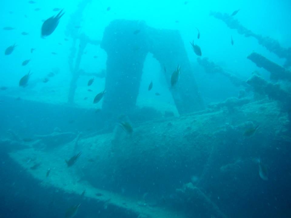 DIVING IN MONTENEGRO