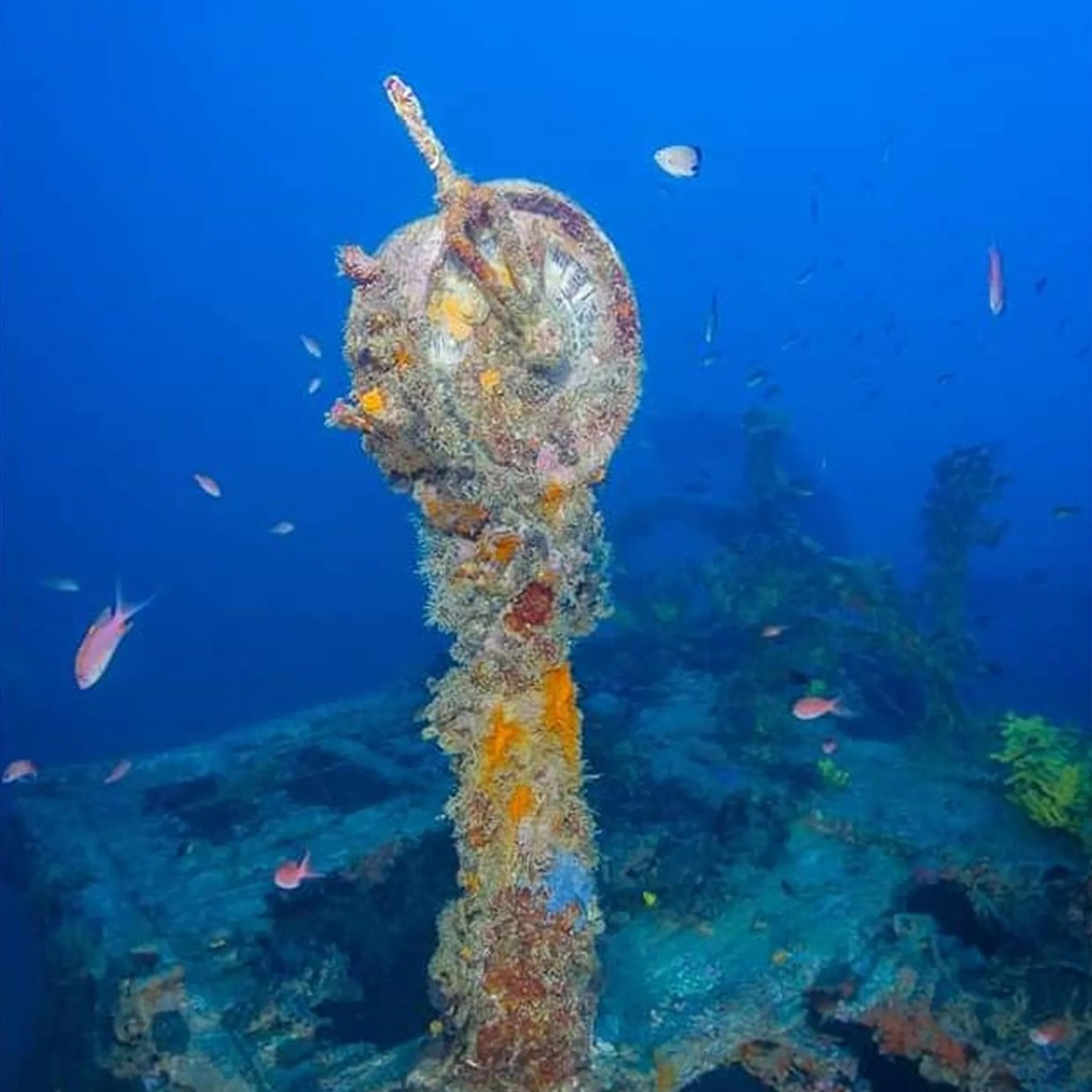 DIVING IN MONTENEGRO