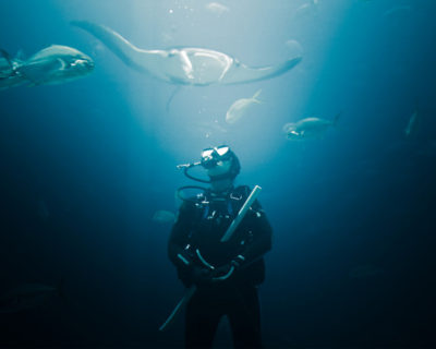 DISCOVERY DIVING FROM THE BOAT